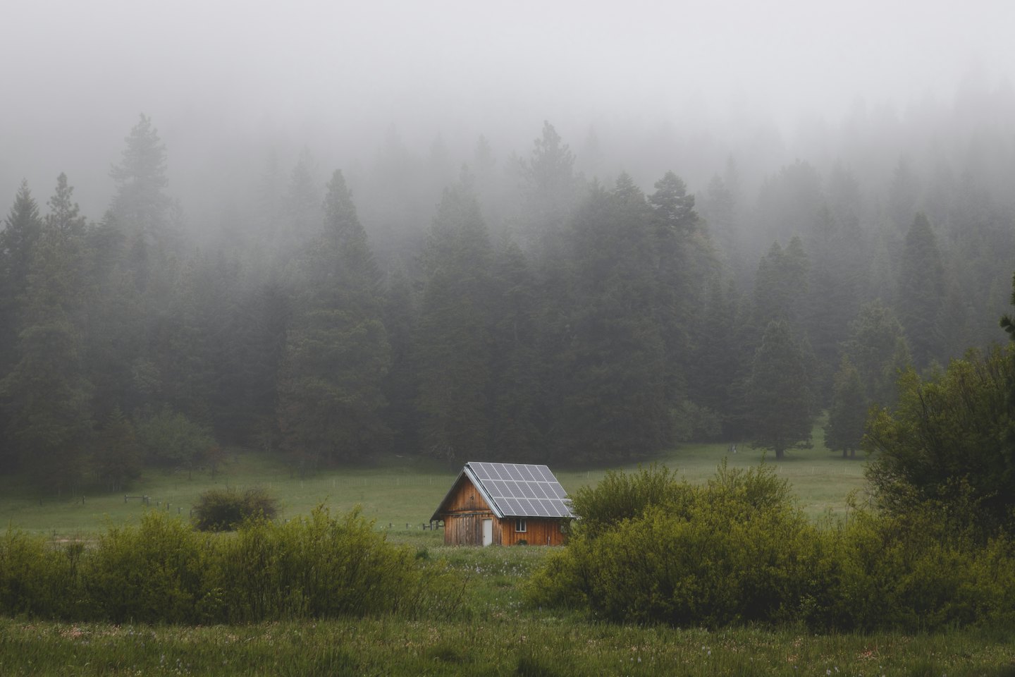 Wooden cabin with solar panels in a misty meadow.